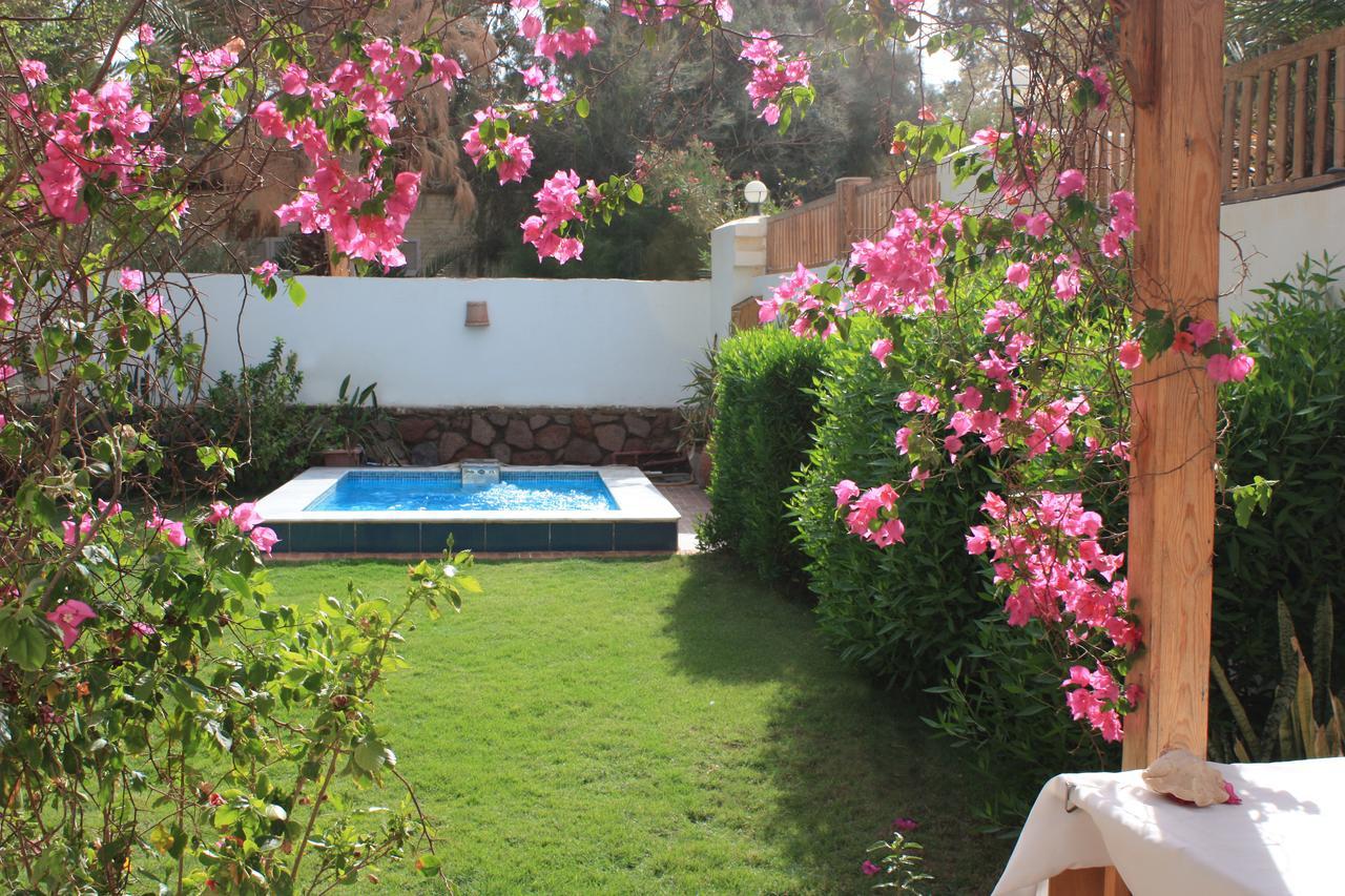 Deluxe Seahorse Apartment - Lagoon Villa Νταχάμπ Εξωτερικό φωτογραφία